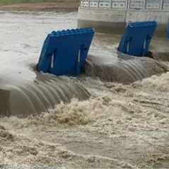 How Do Rubber Dams Work and What Are Their Benefits?