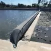 Rubber Dam